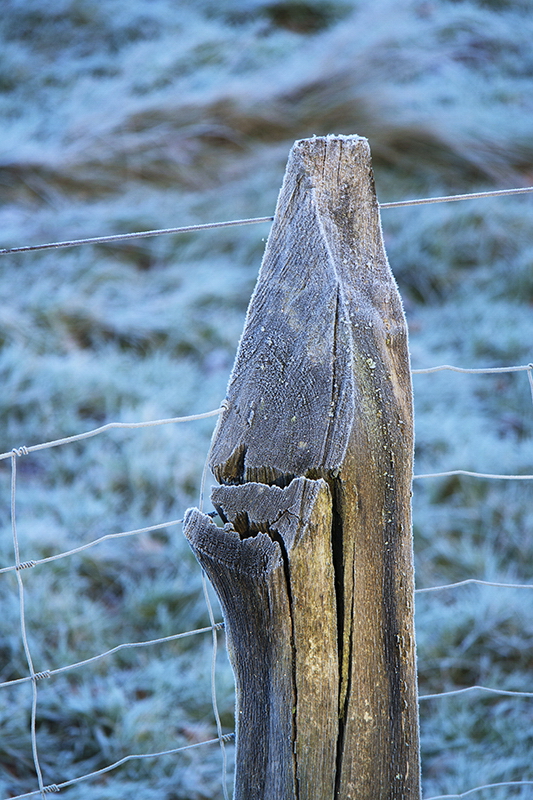 0001 Winter SAM_5407 Kopie.jpg